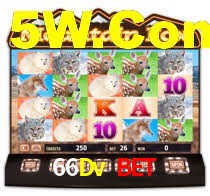 66Dv Bet